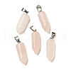 Natural Rose Quartz Pendants G-Z067-07P-09-2