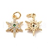 Rack Plating Brass Micro Pave Cubic Zirconia Pendants KK-E081-10G-1