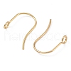 316 Surgical Stainless Steel Earring Hooks STAS-P162-13G-B01-2