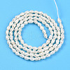 Natural Cultured Freshwater Pearl Beads Strands PEAR-N012-02Y-3