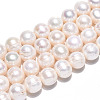Natural Cultured Freshwater Pearl Beads Strands PEAR-N016-11A-2