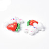 Opaque Resin Cabochons CRES-P023-06D-3