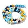 Glass Beads Strands EGLA-A034-M10mm-32-4