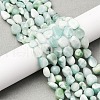 Natural Glass Beads Strands G-K395-A02-02-1