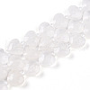 Natural Quartz Crystal Beads Strands G-P570-E21-01-2