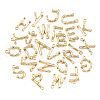 Alloy Pendants PALLOY-S137-001-NR-2