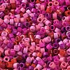 Baking Paint Glass Seed Beads SEED-S042-05A-09-3