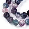 Natural Rainbow Fluorite Beads Strands G-T140-22B-4
