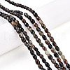 Natural Biotite Beads Strands G-N346-02A-02-1