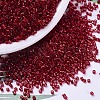 MIYUKI Delica Beads SEED-X0054-DB0602-1