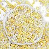 Glass Seed Beads X1-SEED-K010-03A-3