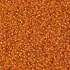 TOHO Round Seed Beads SEED-JPTR15-0030B-2