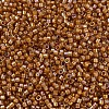 MIYUKI Delica Beads SEED-J020-DB1734-3