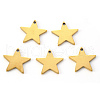 PVD Vacuum Plating 304 Stainless Steel Charms STAS-N092-67G-1