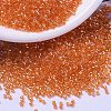 MIYUKI Delica Beads SEED-X0054-DB1887-1