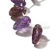 Natural Amethyst Beads Strands G-P561-A02-01-3