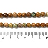 Natural Yellow Chrysocolla Beads Strands G-H298-A07-02-5