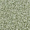 MIYUKI Delica Beads SEED-J020-DB1765-3