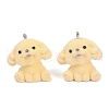 Flocky Resin Pendants FIND-A052-06C-1