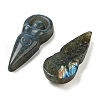 Natural Labradorite Carved Cabochons G-C152-10-2