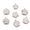 Natural Freshwater Shell Pendants BSHE-E028-06KCG-1