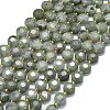 Natural Labradorite Beads Strands G-C116-A98-01-2
