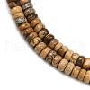 Natural Picture Jasper Beads Strands G-H292-A23-01-4