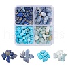 60G 4 Style Natural & Synthetic Gemstone Chip Beads G-FS0001-40-1