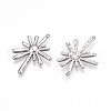 304 Stainless Steel Pendants STAS-T064-62P-2