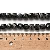 Natural Larvikite Beads Strands G-H078-C18-01-5