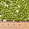 Baking Paint Glass Seed Beads SEED-A032-02A-07-4