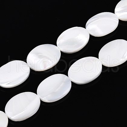 Natural Trochid Shell/Trochus Shell Beads SSHEL-N036-051-1