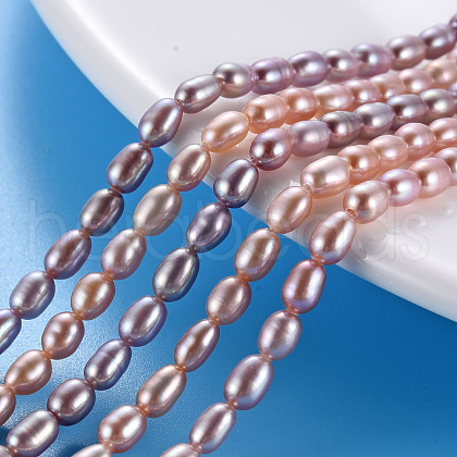 Natural Cultured Freshwater Pearl Beads Strands PEAR-N012-02D-1