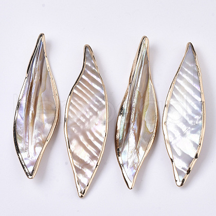 Natural Freshwater Shell Big Pendants SHEL-R047-04-1