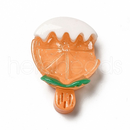 Translucent Resin Imitation Food Decoden Cabochons CRES-A052-01A-1
