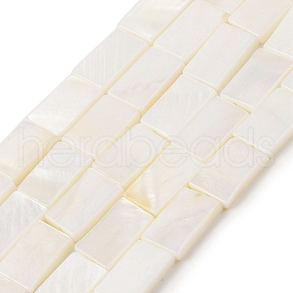 Natural Freshwater Shell Beads Strands BSHE-H018-03-1