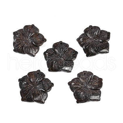 Natural Bronzite Carved Pendants G-B097-01A-12-1