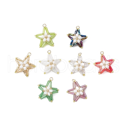 Seed Beads Beaded Charms PALLOY-MZ00329-1