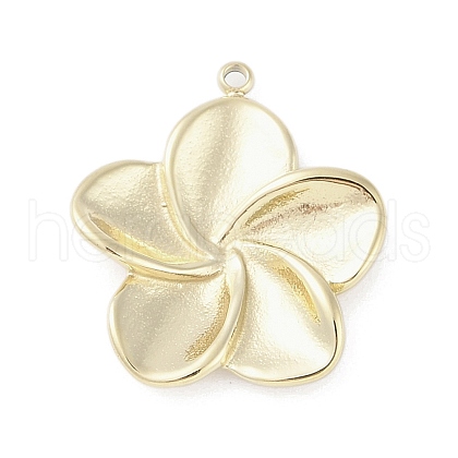304 Stainless Steel Pendants STAS-L022-420G-1