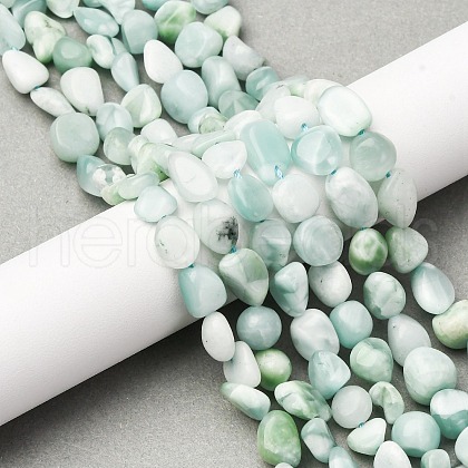 Natural Glass Beads Strands G-K395-A02-02-1