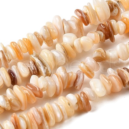 Natural Shell Beads Strands BSHE-G029-01B-1