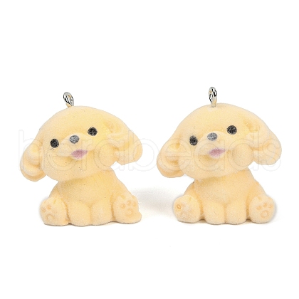 Flocky Resin Pendants FIND-A052-06C-1