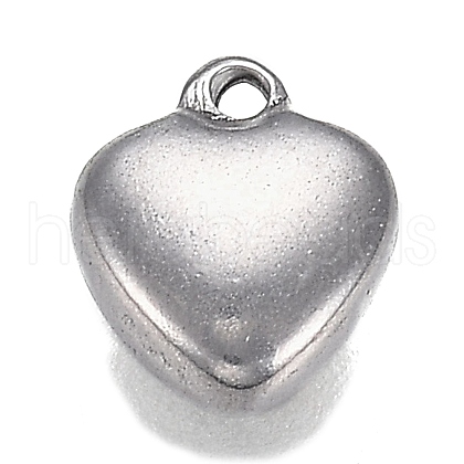Tarnish Resistant 304 Stainless Steel Charms STAS-I166-13A-1