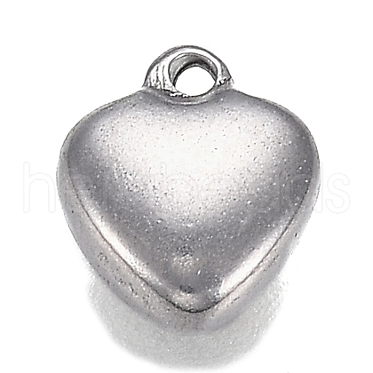 304 Stainless Steel Charms STAS-I166-13A-1