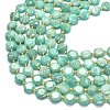 Natural Amazonite Beads Strands G-C116-A103-01-3