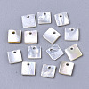 Natural White Shell Mother of Pearl Shell Charms SHEL-R047-07-1