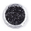 Glass Twisted Bugle Seed Beads SEED-S018-02A-2