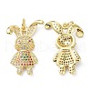 Brass Micro Pave Cubic Zirconia Pendant ZIRC-C021-28G-2