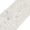 Natural Rainbow Moonstone Beads Strands G-Q060-D12-2
