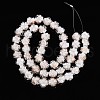 Luminous Handmade Gold Foil Glass Beads Strands FOIL-N029-01A-3
